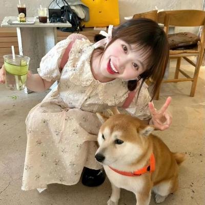 血染征途