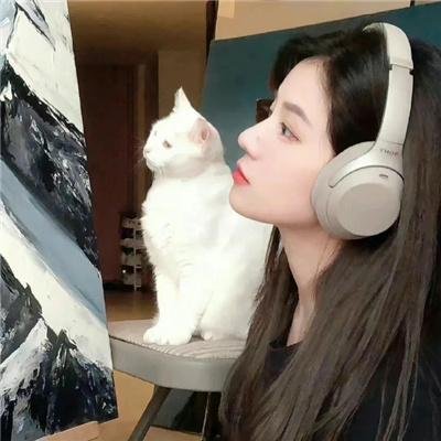 爱麻夫人热映中